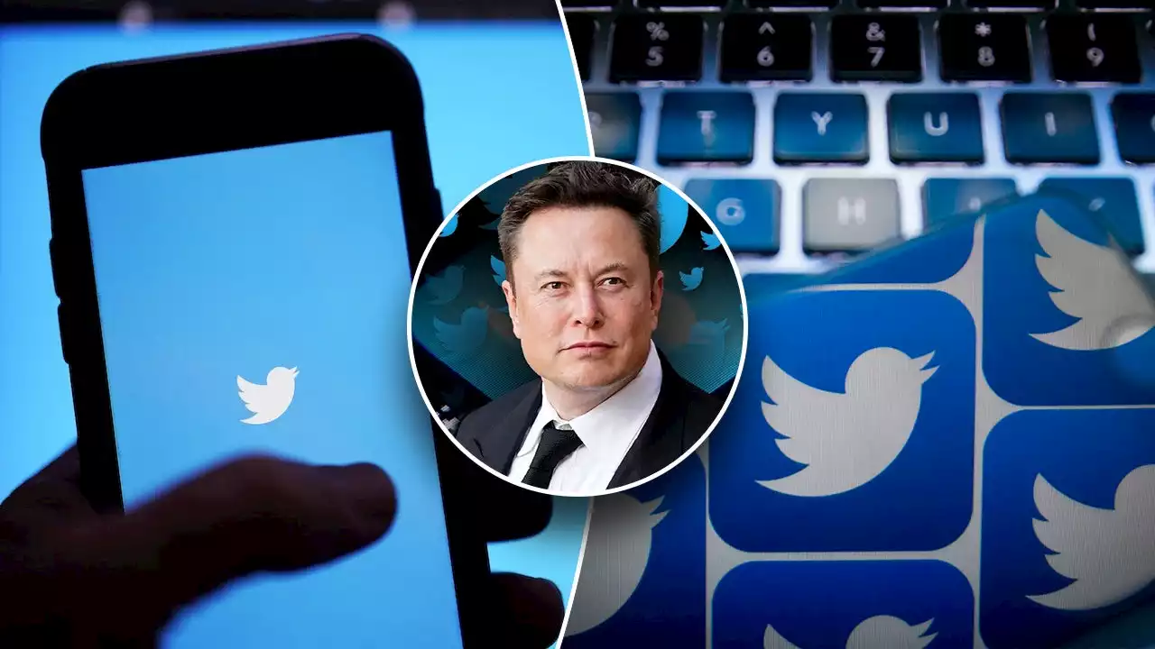 Elon Musk under fire from Twitter users for limiting posts that can be read: 'Picked a fight with America'