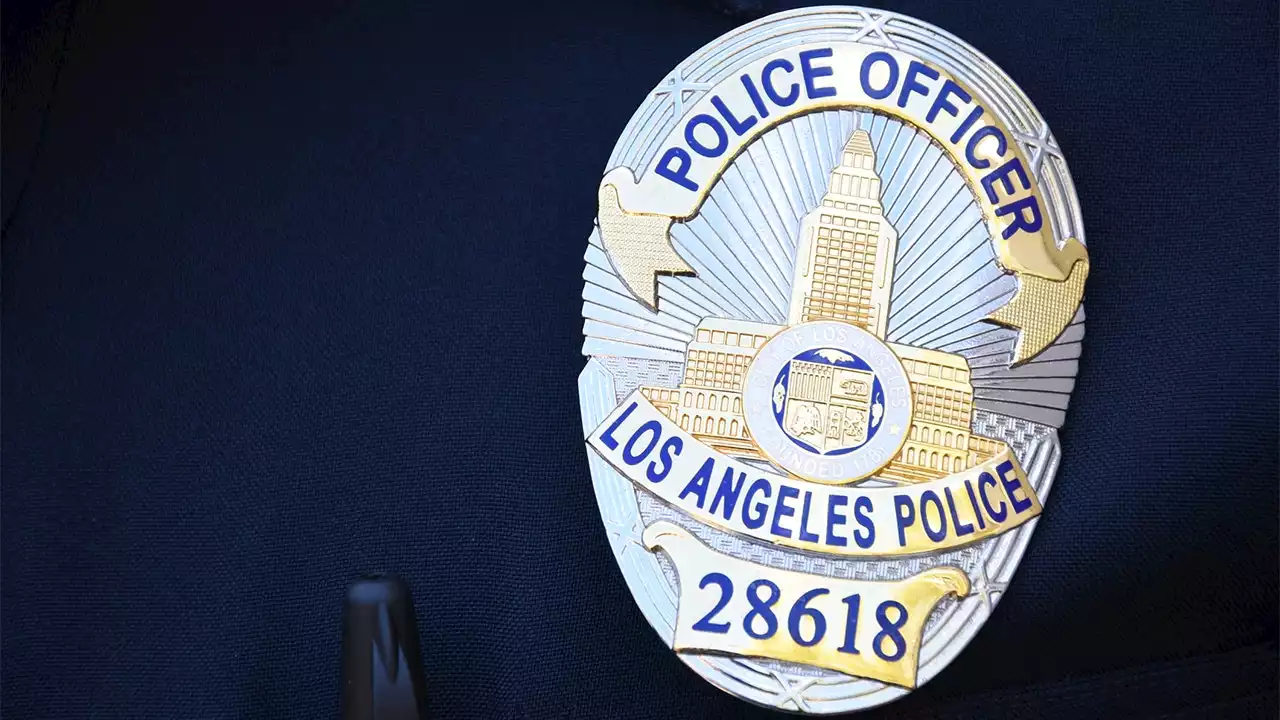 LA cop defies chief's orders to not post guns online, wields weapon in wedding photos