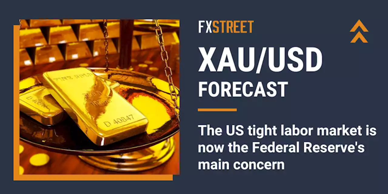 Gold Price Forecast: XAU/USD loses momentum despite easing US Dollar demand