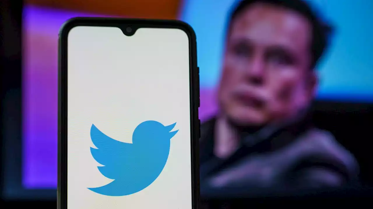 TweetDeck Falters as Elon Musk Wrecks Twitter