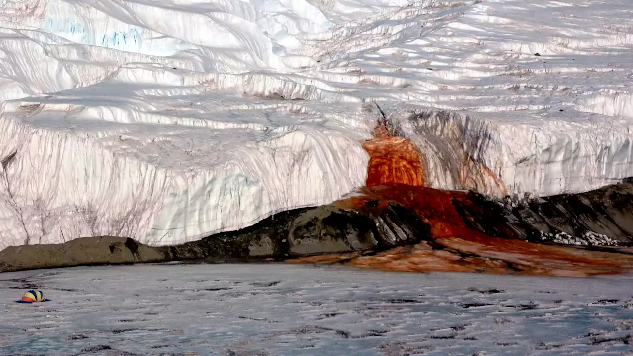 Scientific breakthrough unveils the mystery behind Antarctica's blood falls