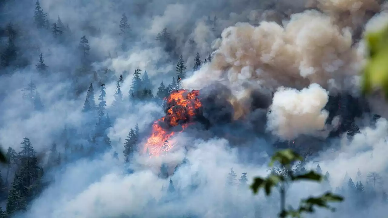 Evacuation order issued over ‘Tunnel 5 Fire’ in Skamania County