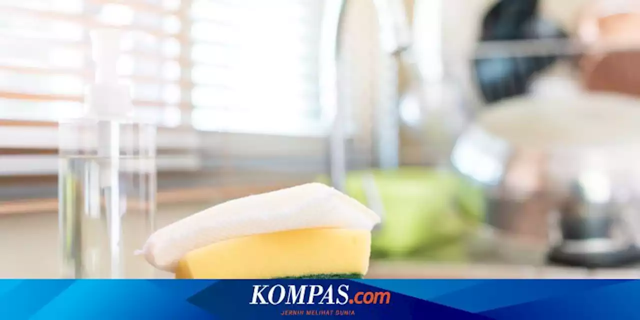 Apakah Spons Cuci di Dapur Mengandung Banyak Kuman?