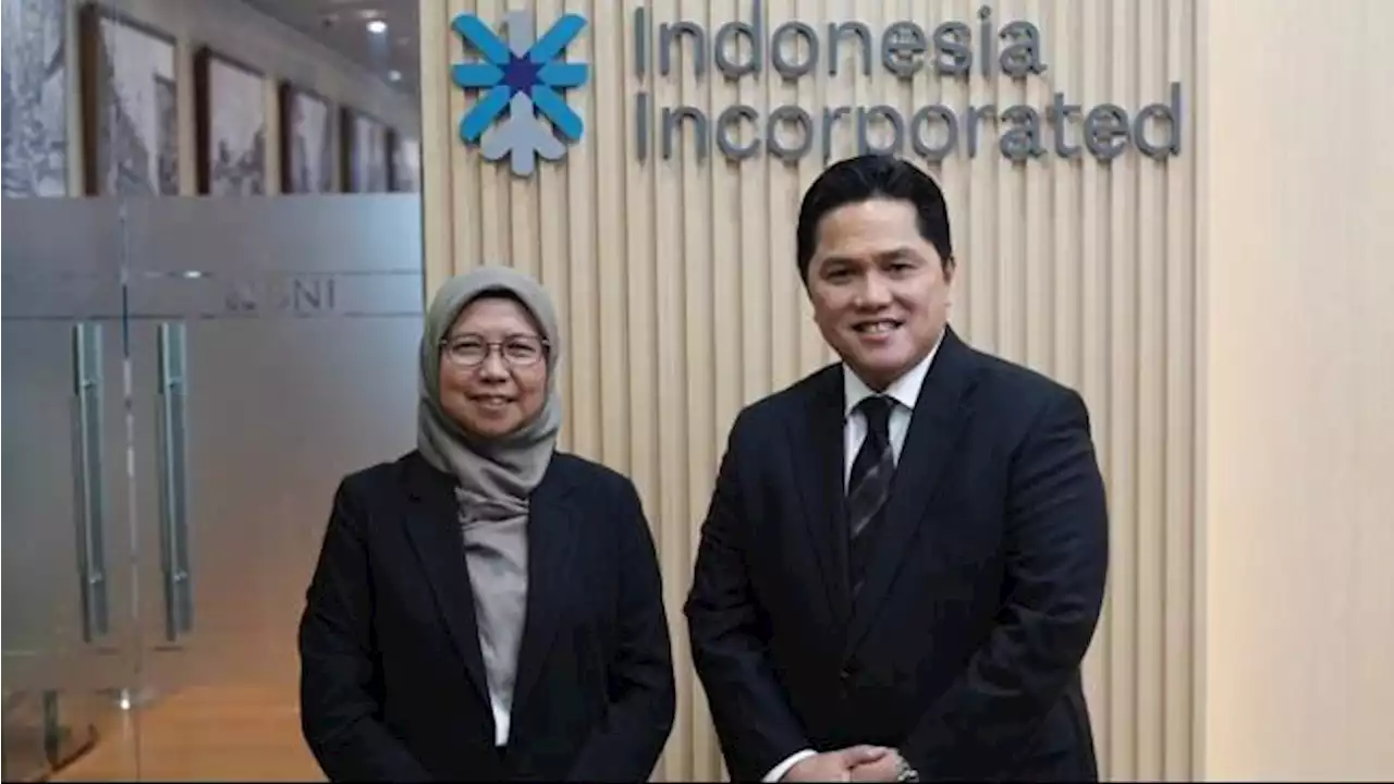 Menteri BUMN Erick Thohir Ajak PLN Berkolaborasi Dengan Perusahaan Energi China