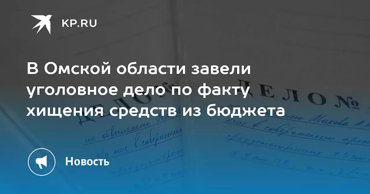 В Омской области завели уголовное дело по факту хищения средств из бюджета