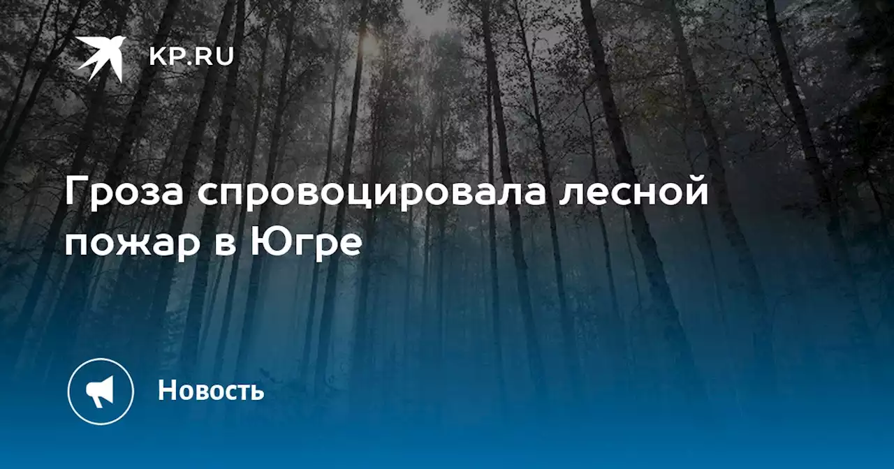 Гроза спровоцировала лесной пожар в Югре