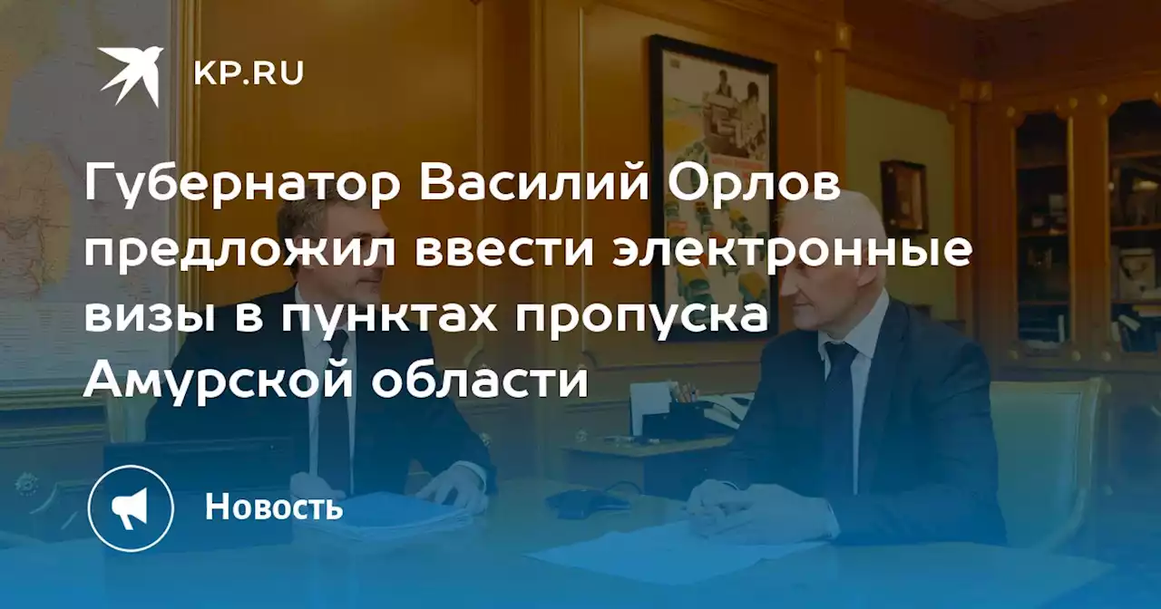 Губернатор Василий Орлов предложил ввести электронные визы в пунктах пропуска Амурской области