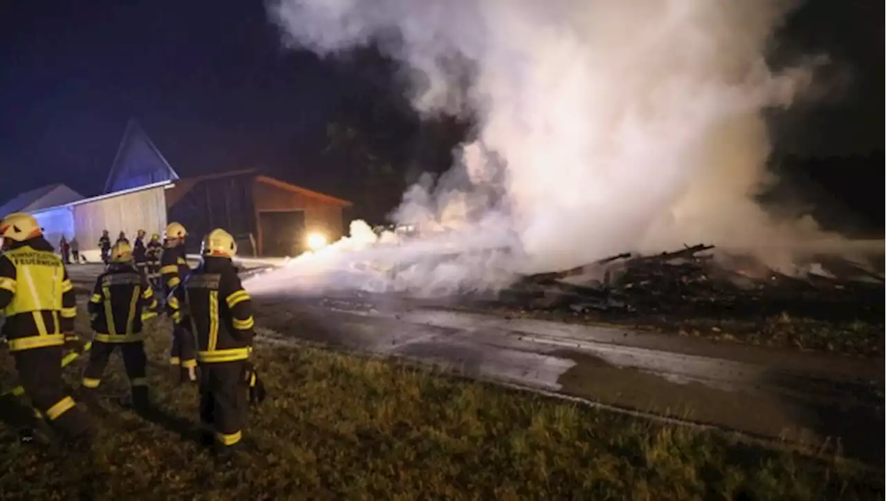 Schreiende Rinder weckten Hofbesitzer bei Brand