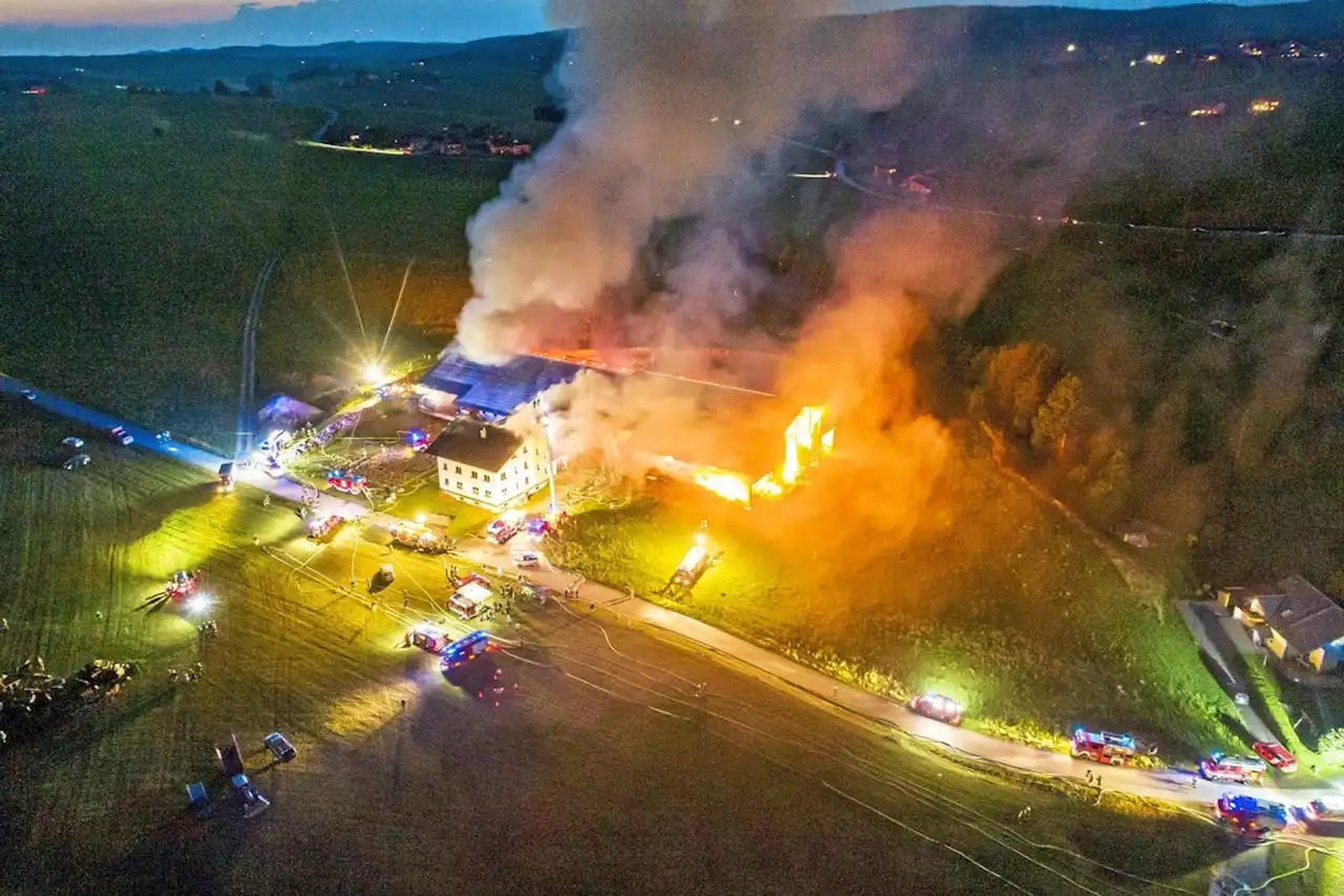 Feuerwehrmann bei Großeinsatz von Kuh verletzt