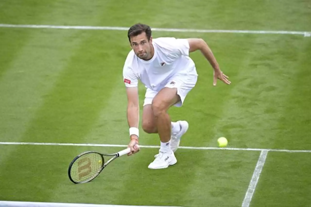 Wimbledon : trois matches de Français reportés à mardi à cause de la nuit