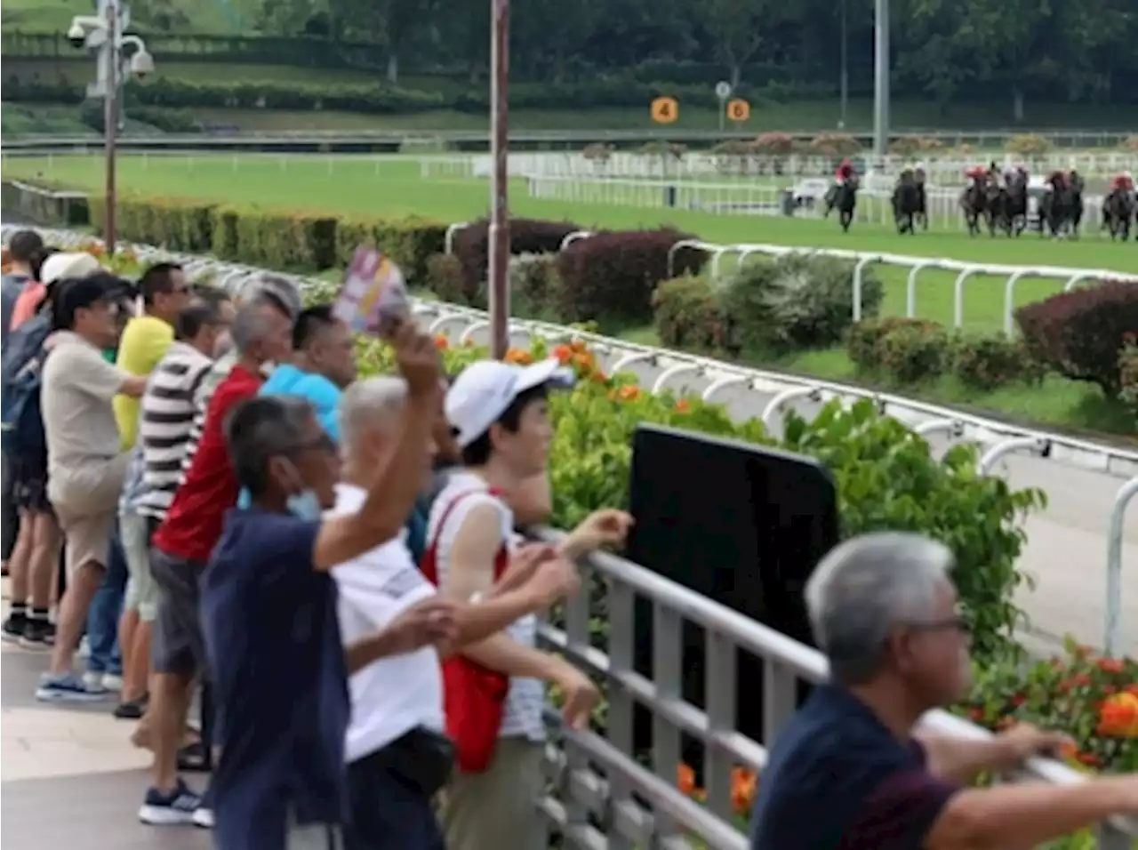 Singapore Turf Club closure: Horse trainers, owners will get help to find new jobs, rehome horses, says Indranee Rajah