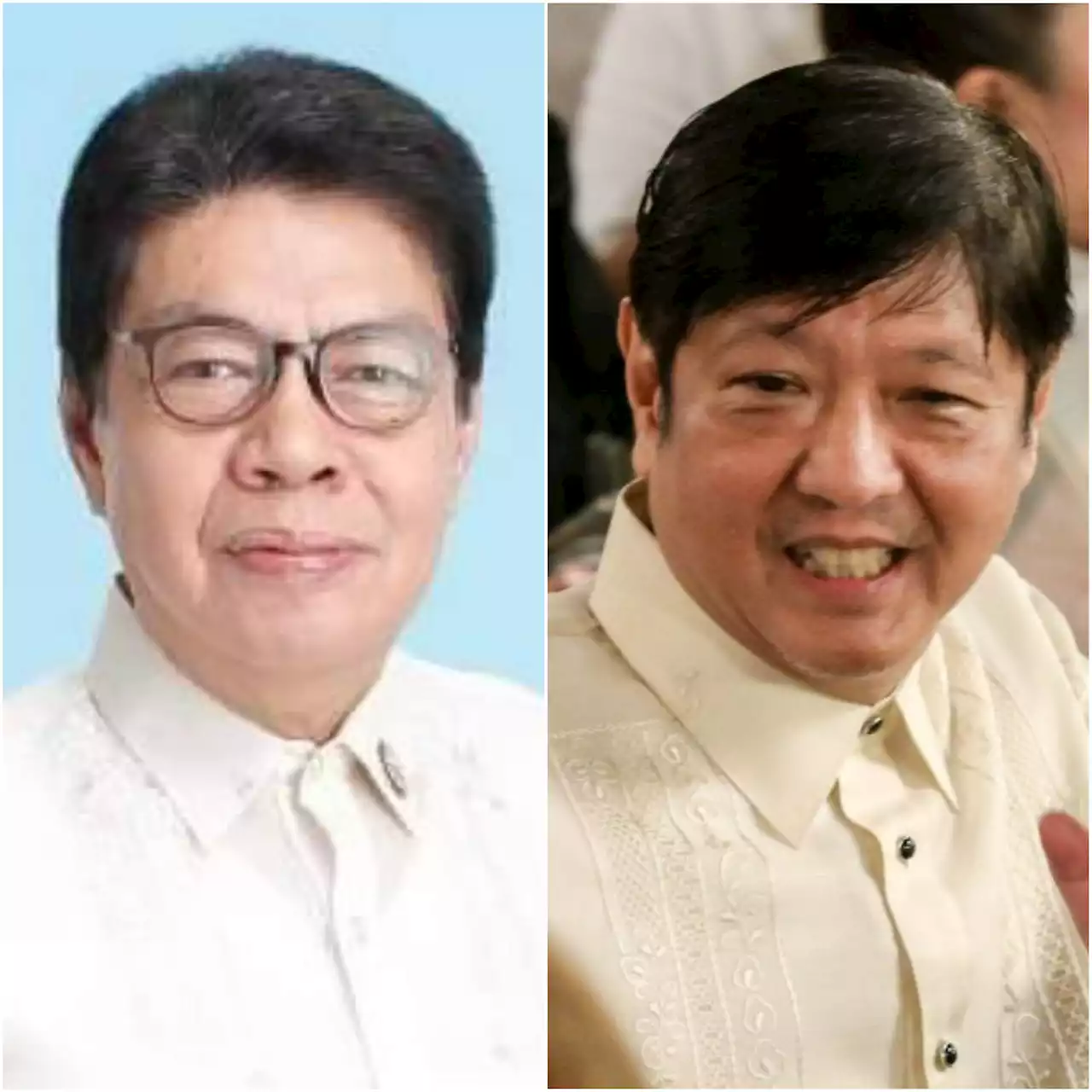 Pro-Robredo solon praises Marcos for economic achievements