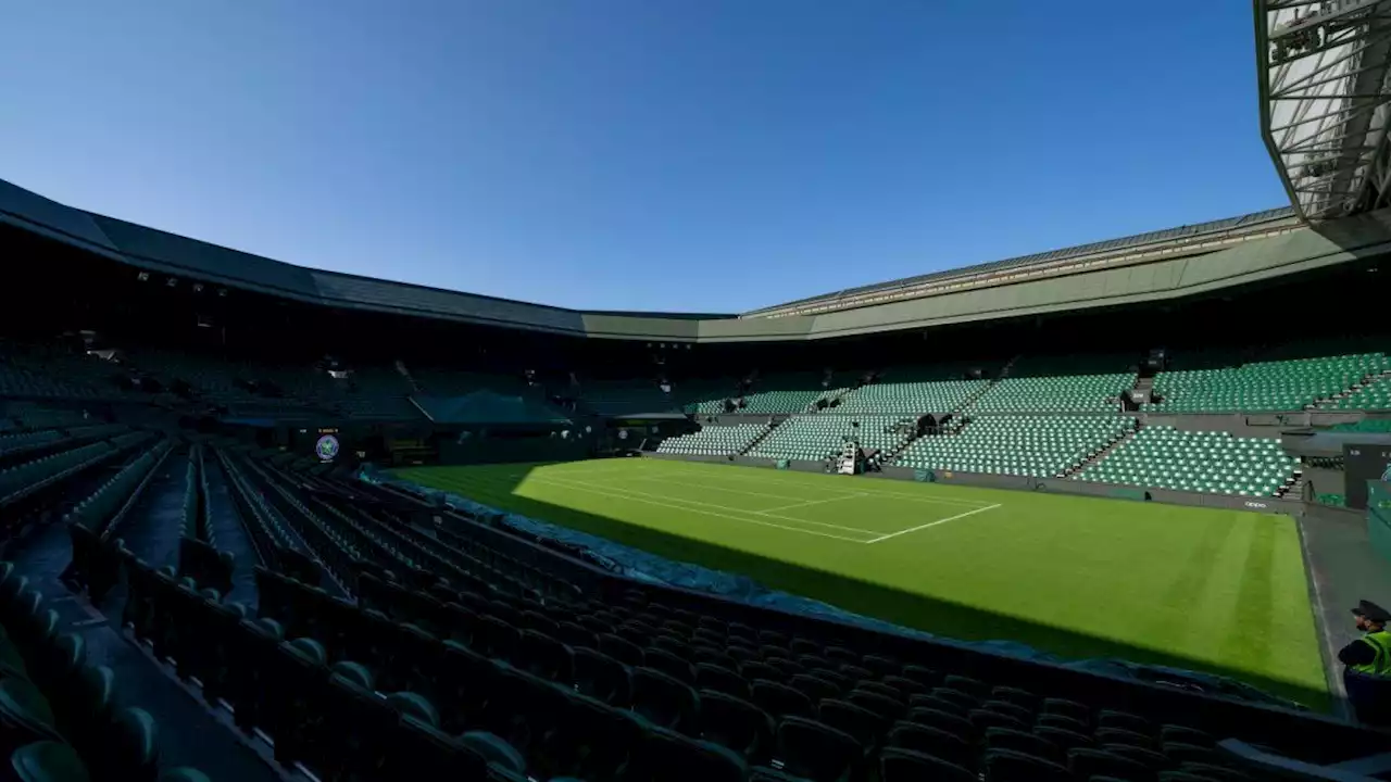 Wimbledon: Pedro Cachín desafía el reinado de Novak Djokovic