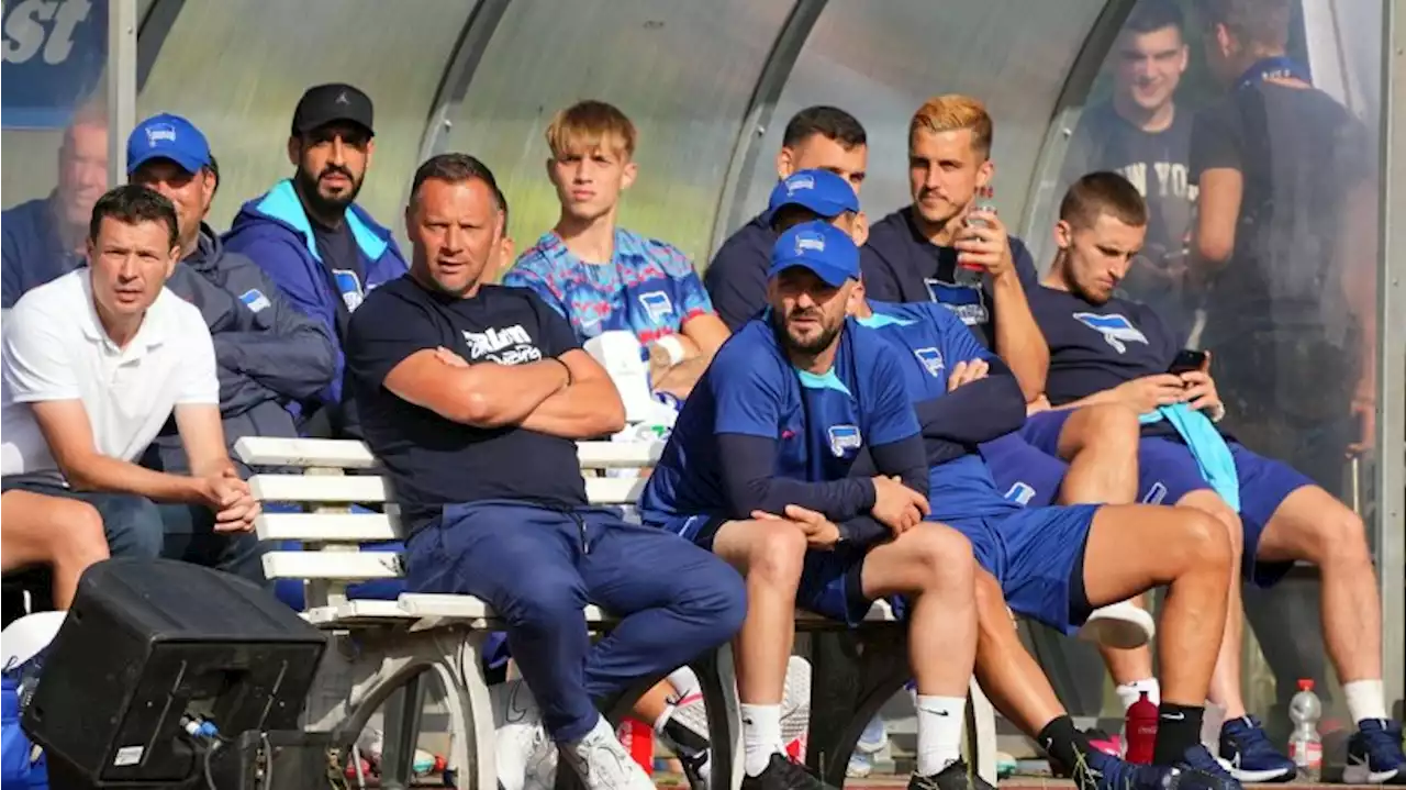 Herthas Dardai-Dynastie: Bence macht Quartett komplett