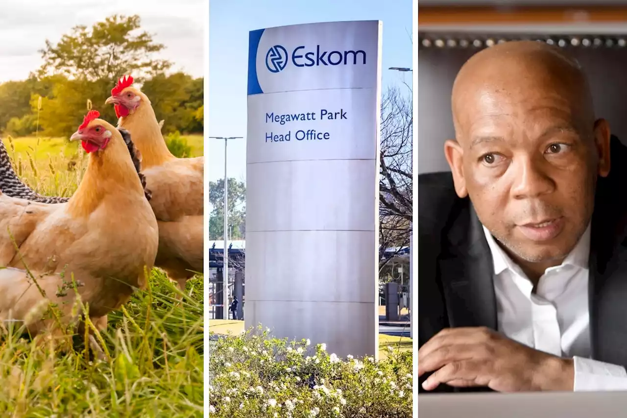 Counting Eskom chickens