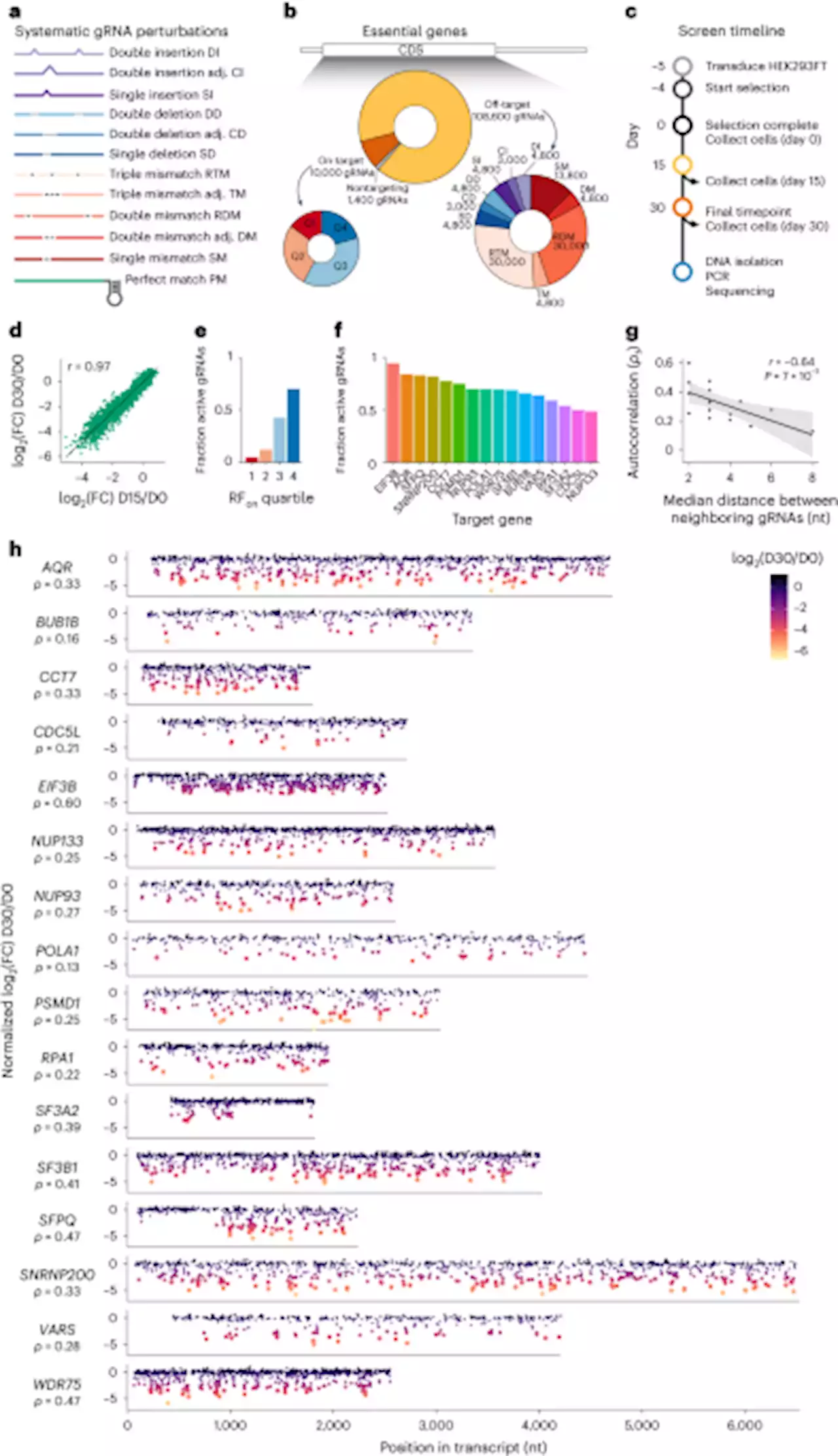 Prediction of on-target and off-target activity of CRISPR–Cas13d guide RNAs using deep learning - Nature Biotechnology