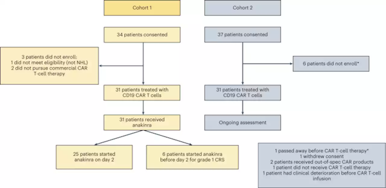 CD19 CAR T-cell therapy and prophylactic anakinra in relapsed or refractory lymphoma: phase 2 trial interim results - Nature Medicine