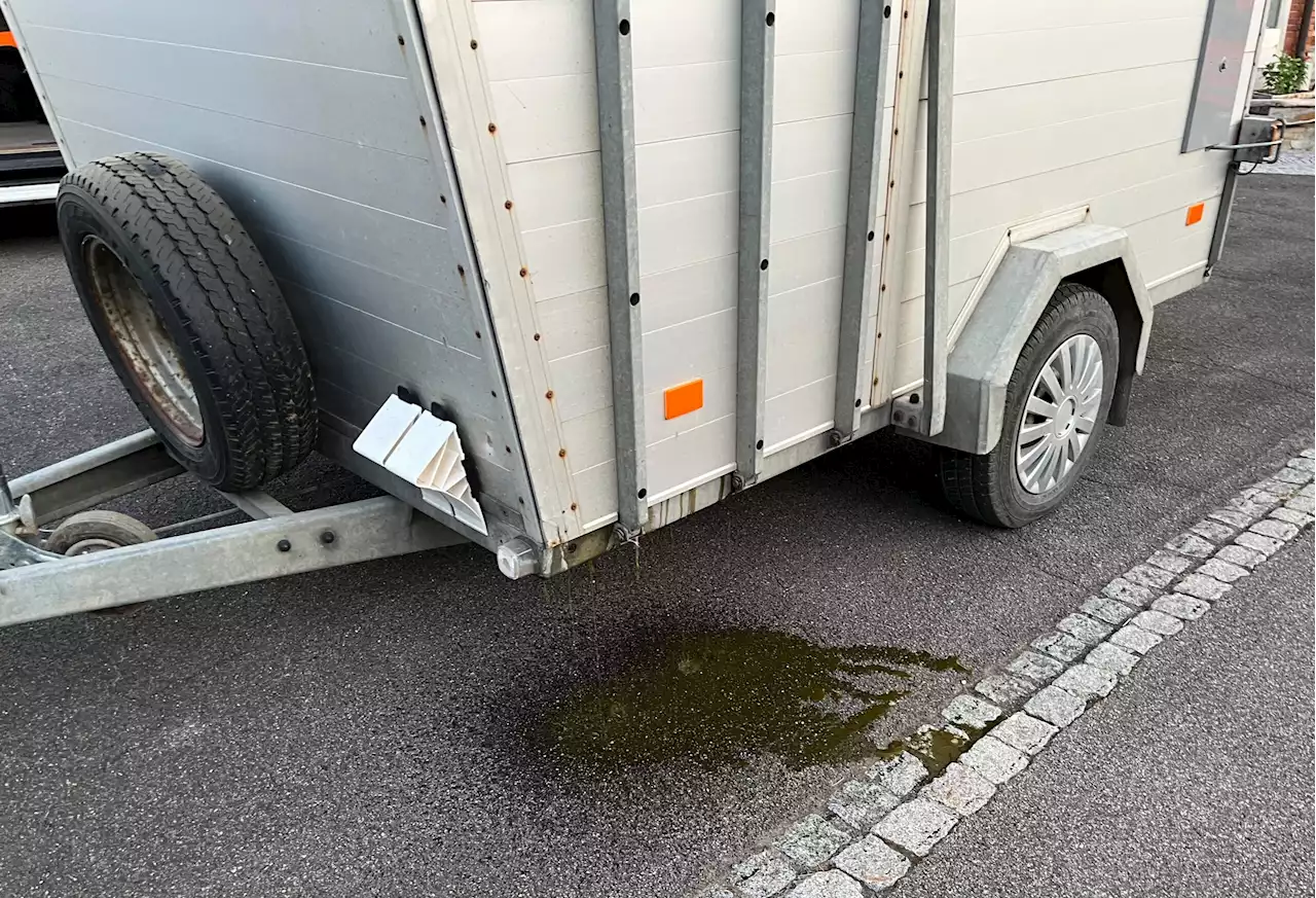 Kanton Thurgau: Tiertransporter kontrolliert – mehrere Personen angezeigt