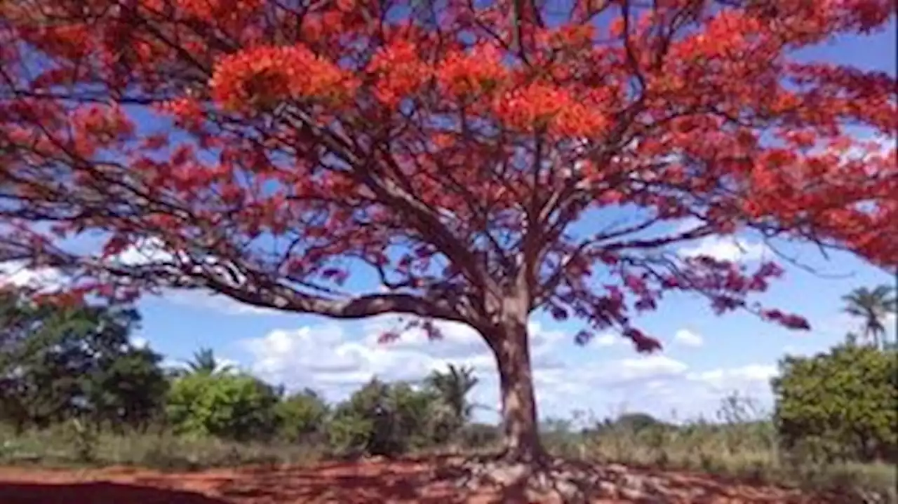 Censo 2022: IBGE vai premiar melhores fotos de recenseadores; veja imagens