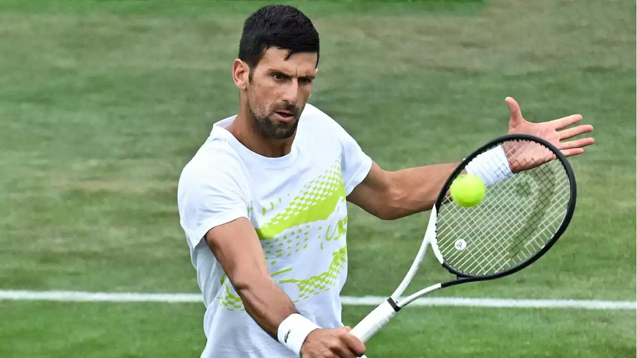 Wimbledon in diretta, in campo Musetti. Oggi tocca anche a Sinner, Trevisan, Cocciarello e Stefanini