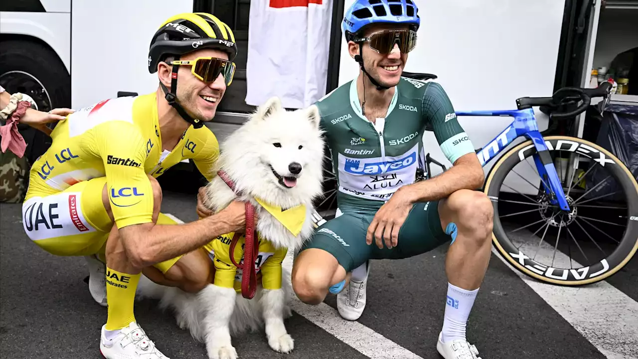 Tour de France: quand le maillot jaune Adam Yates habille son propre chien... avec un maillot jaune