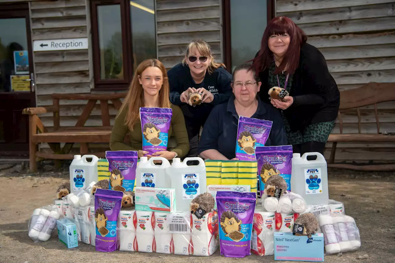 Homebuilder hands over hedgehog hampers to Cuan Wildlife Rescue