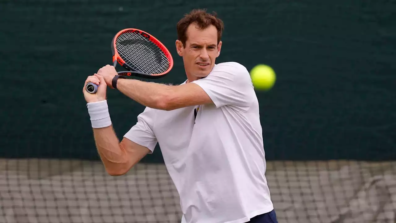 Andy Murray warns Just Stop Oil against targeting Wimbledon as group defends Ashes pitch invasion