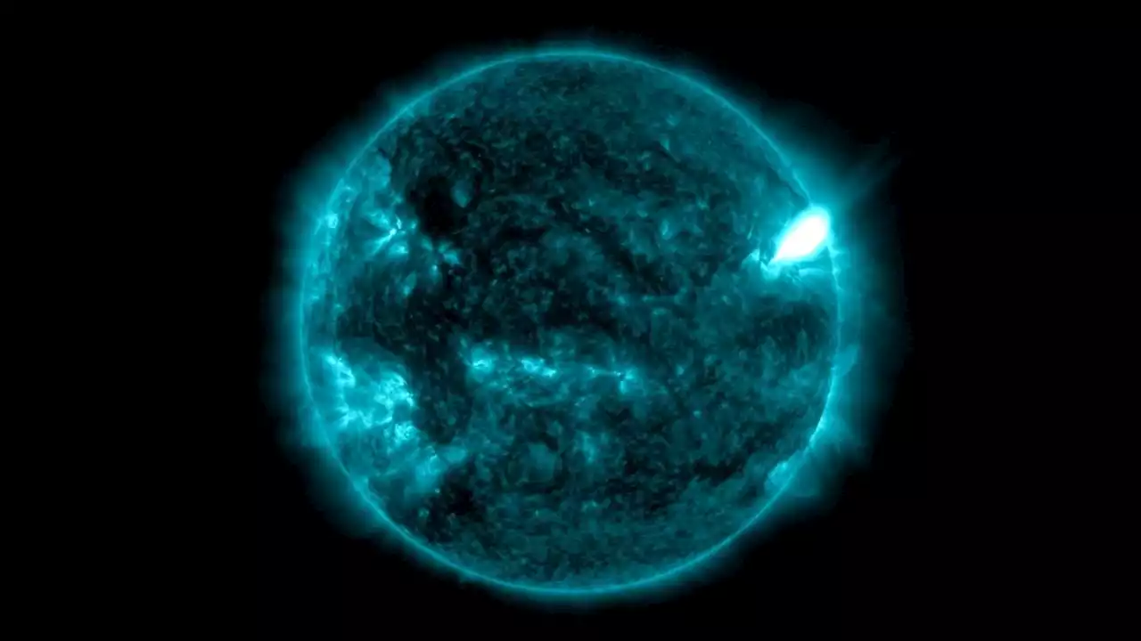 Sun blasts out powerful X-class solar flare causing radio blackouts on Earth (video)