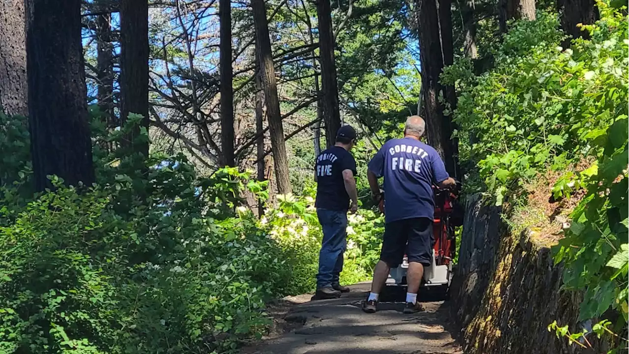 Dad of Five Plunges 150 Feet to His Death on Oregon Hike