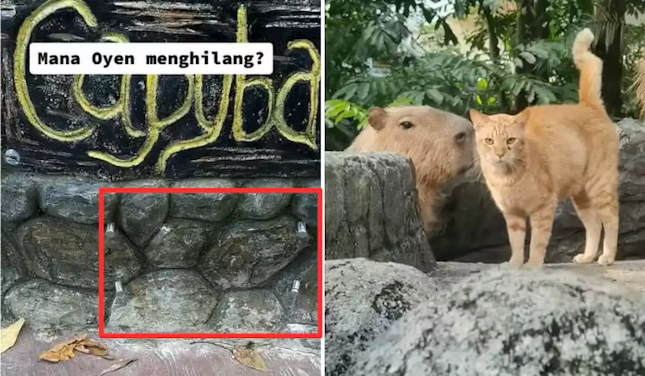 Oyen's Signboard Missing In Zoo Negara? Here's What Happened | TRP