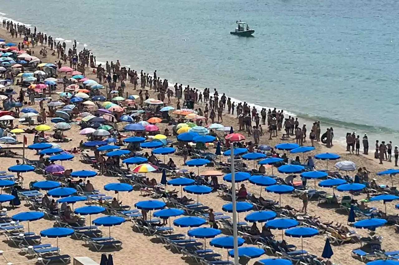 Benidorm beach closed after deadly Man O’War spotted as holidaymakers flee