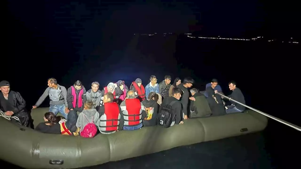 Türkiye rescues 84 irregular migrants pushed back by Greece