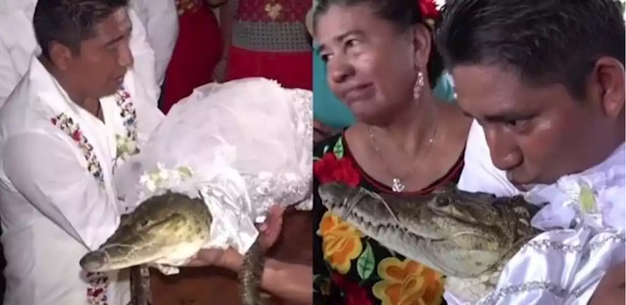 Prefeito se casa com crocodilo em cerimônia por prosperidade no México