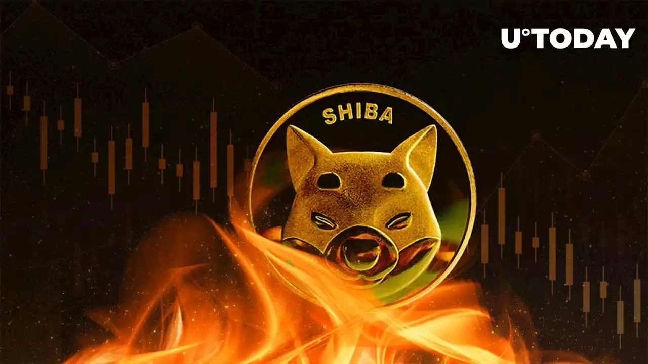 SHIB Burns Plummet 75% as Shiba Inu Retreats to Top 19 Spot