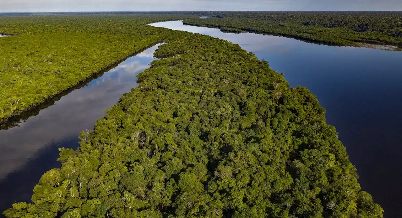 Chanceler da Argentina diz que Mercosul precisa reagir a 'protecionismo verde' da UE