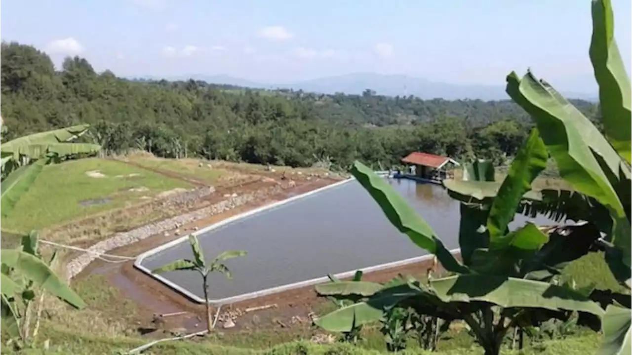 Perintah Jokowi untuk Kementerian dan Lembaga Antisipasi Dampak El Nino