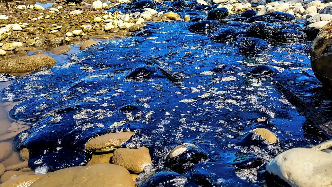 Cleanup begins after asphalt binder spill into Montana's Yellowstone River after train derailment