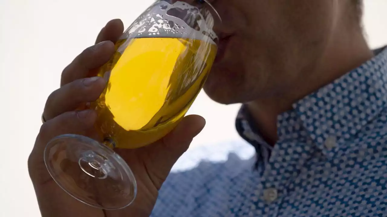 Trend auf Getränkemarkt: Alkoholfreies Bier beliebt wie nie