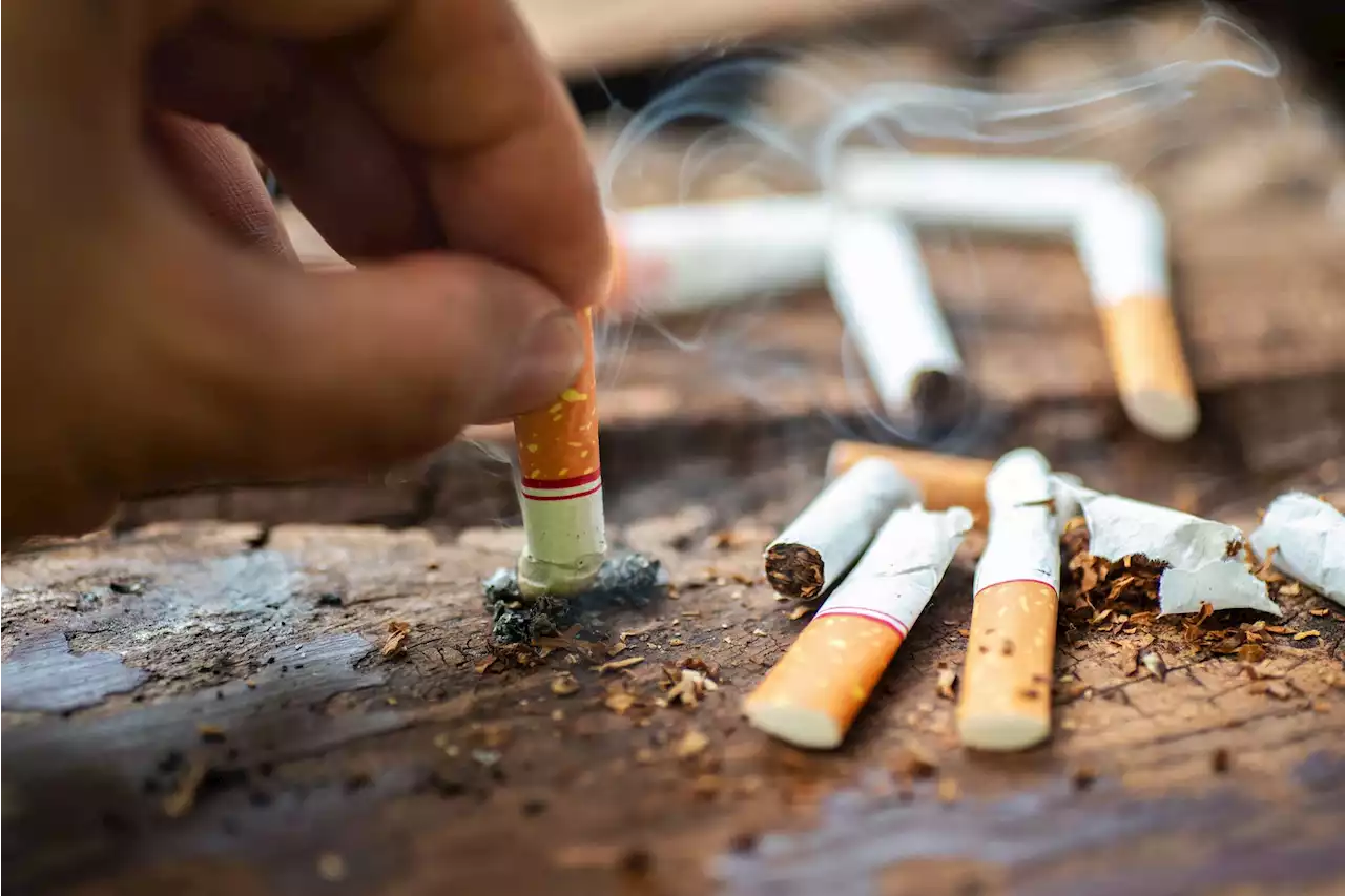 Universidad ECCI busca transformar colillas de cigarrillo para frenar contaminación