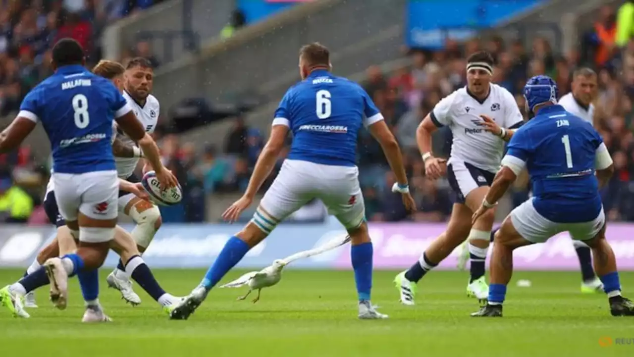 Scotland enjoy winning start to World Cup warm-up programme