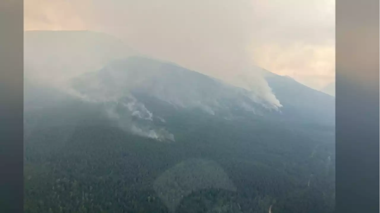 Evacuation order upgraded from alert for parts of southern BC due to nearby wildfire