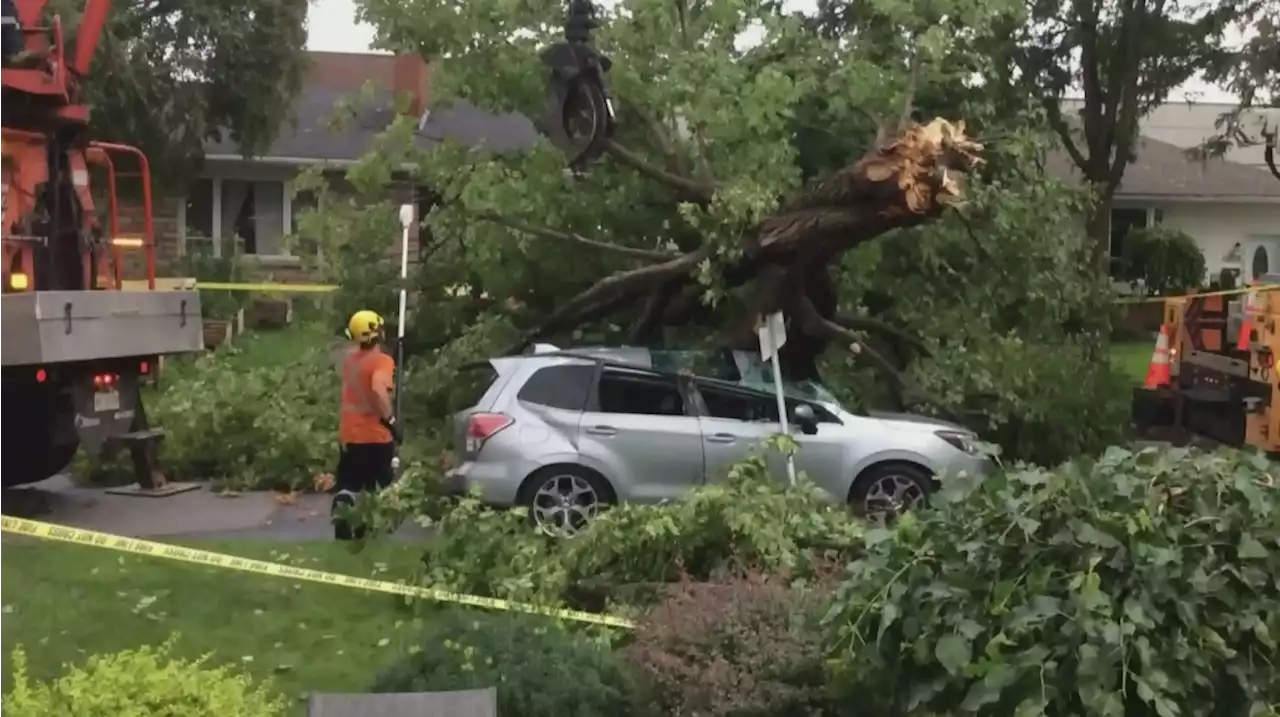 1,700 customers in Ottawa and Gatineau remain without power following Friday's storm