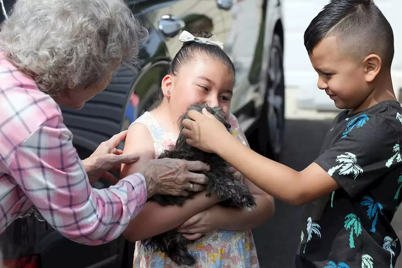 Good News Sunday: Addison girl with health issues receives puppy after loss of her dog