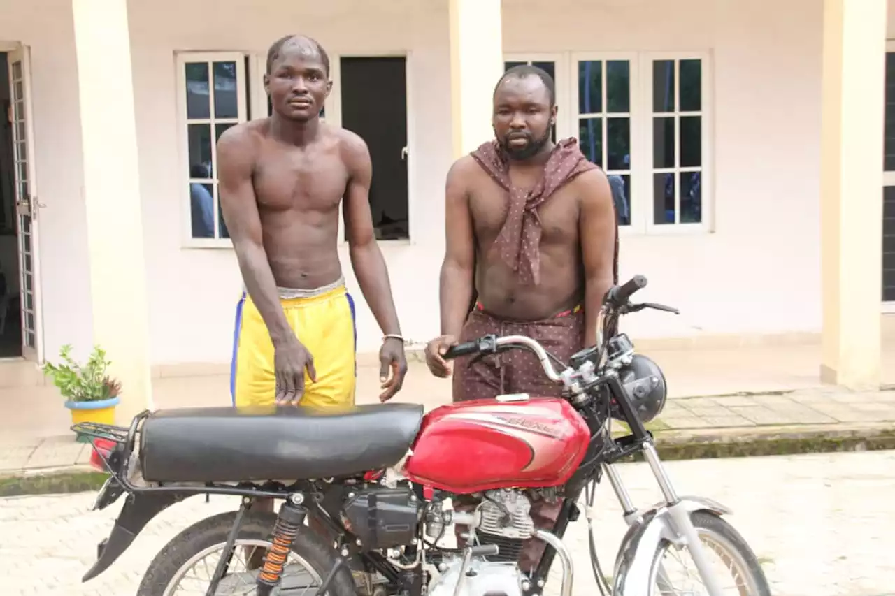 Police arrest notorious motorcycle snatchers in Bauchi