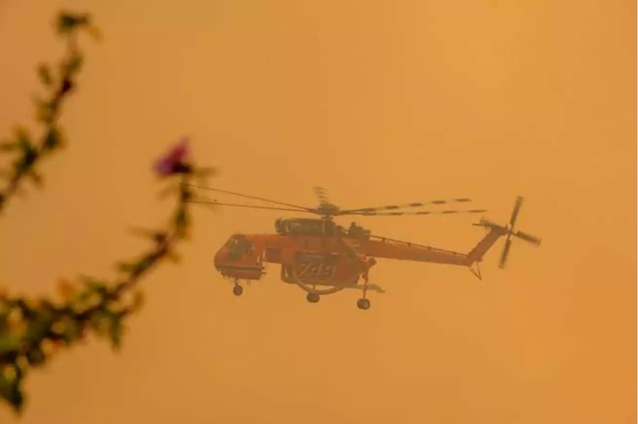 NASA: con estos mapas podrá rastrear los incendios forestales en tiempo real