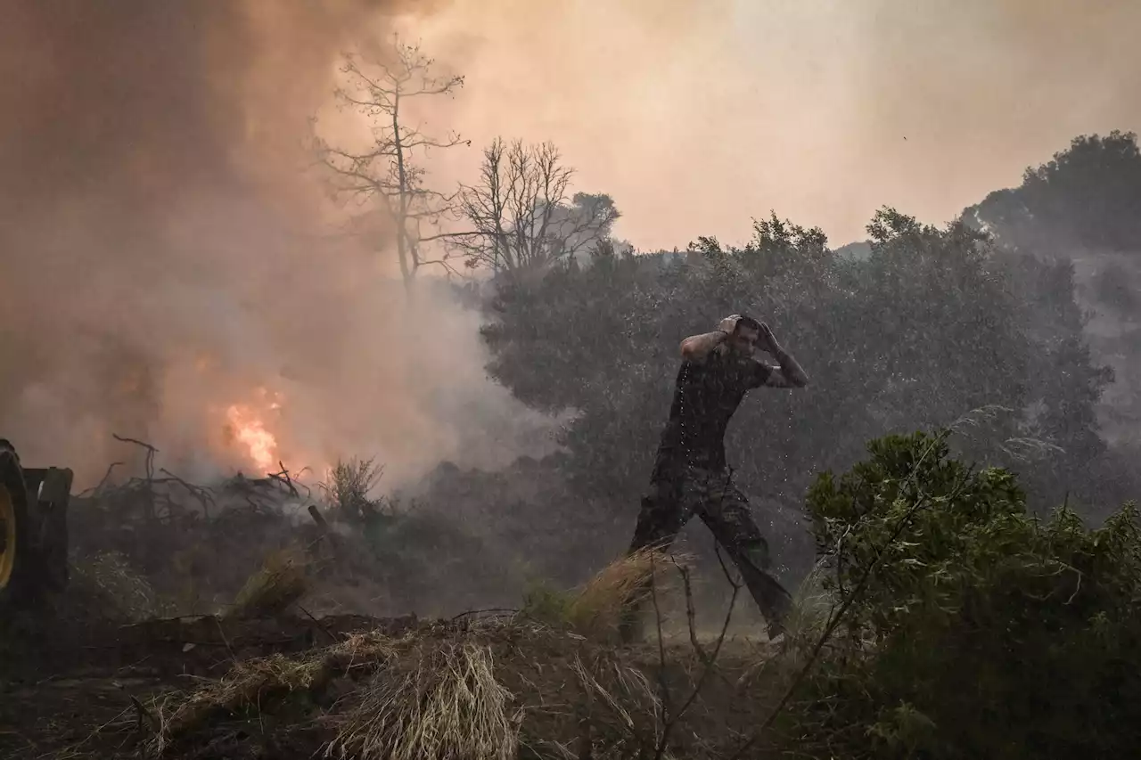 La emergencia que vive Grecia por incendios: 35.000 hectáreas de vegetación destruidas