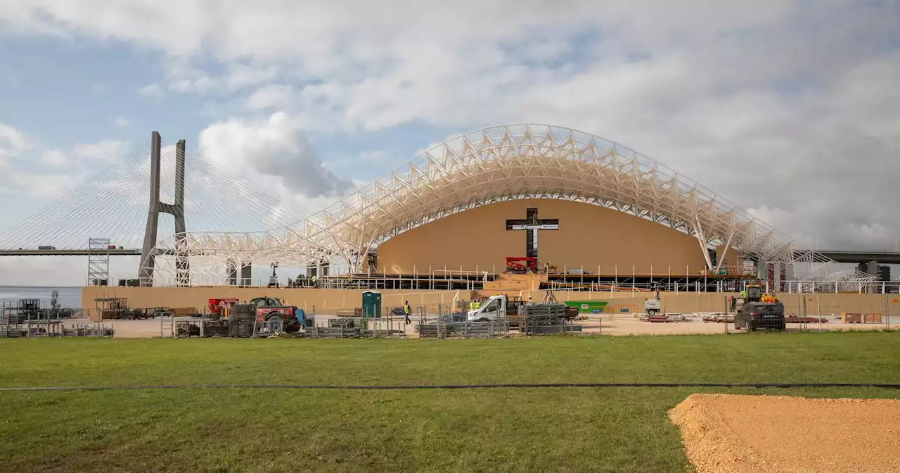 JMJ: conheça os principais números em torno da vinda do Papa Francisco a Portugal