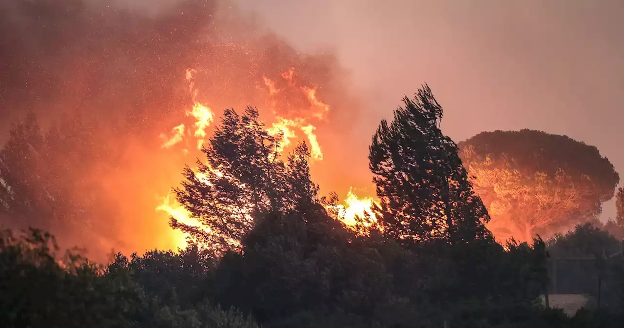 Quase 30 concelhos do país em risco máximo de incêndio este domingo