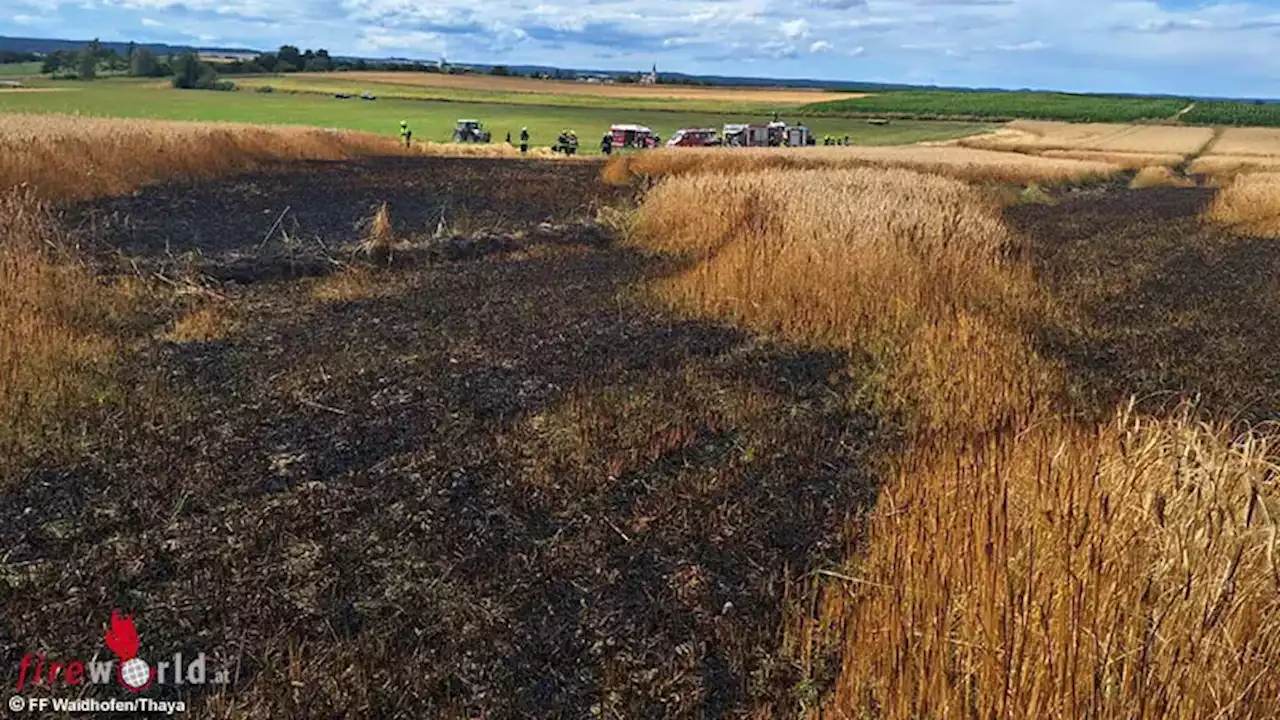 Nö: Fünf Feuerwehren bei Getreidefeld-Brand bei Waidhofen an der Thaya