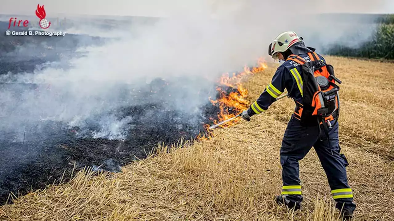 Oö: Ausbildungstag mit abschließender Einsatzübung aller drei Züge der Waldbrandbereitschaft Braunau